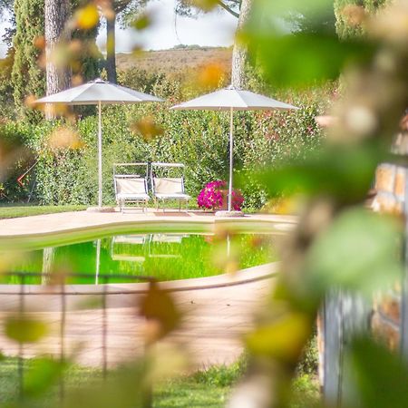 Ai Due Cedri Guest House Capranica Exterior photo
