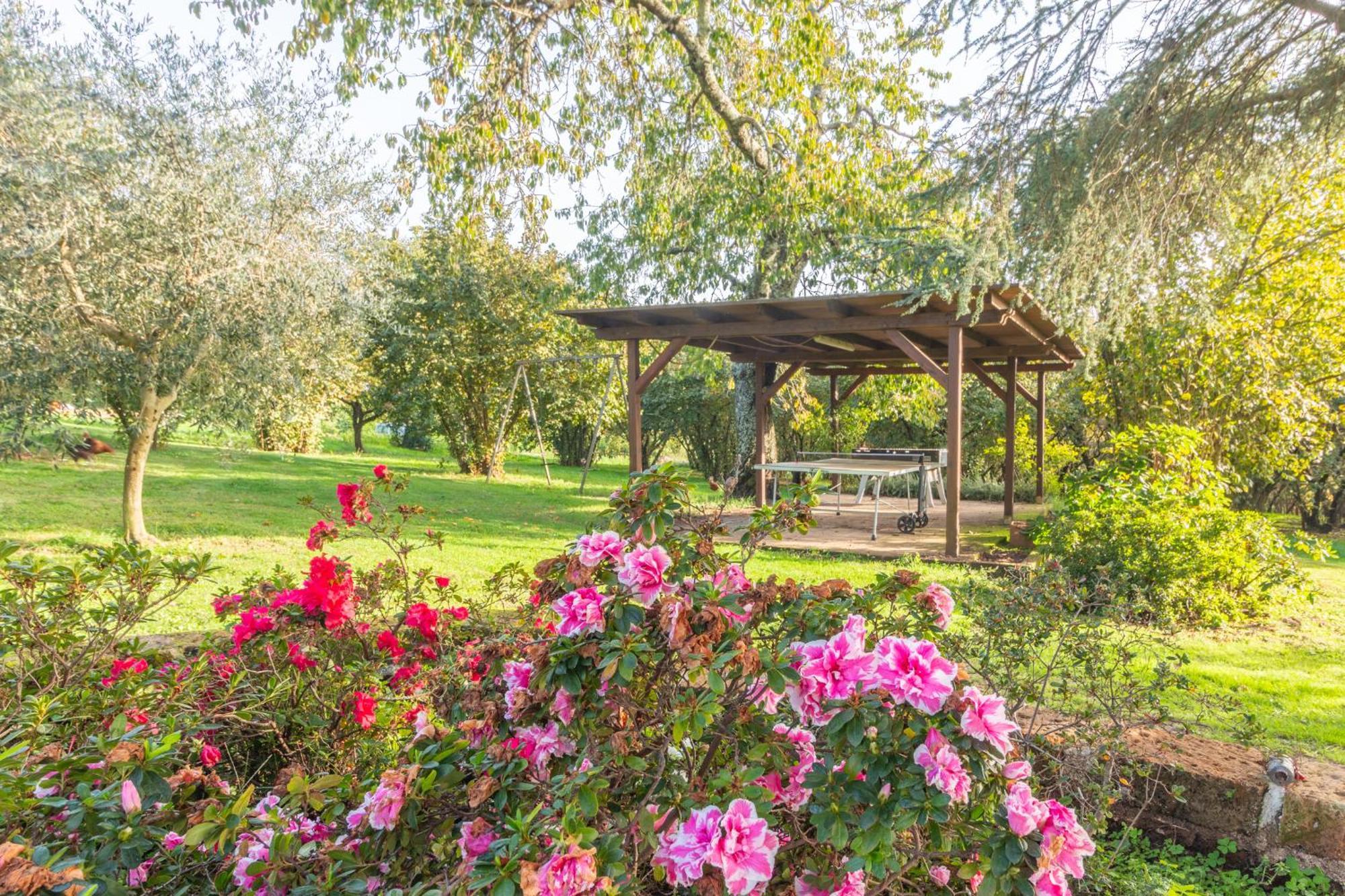 Ai Due Cedri Guest House Capranica Exterior photo